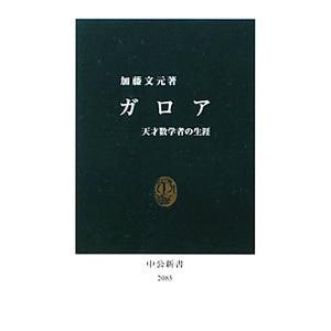 ガロア／加藤文元