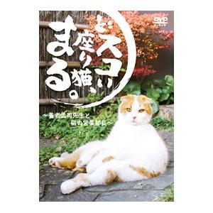 DVD／どスコい座り猫 まる〜養老孟司先生と猫の営業部長