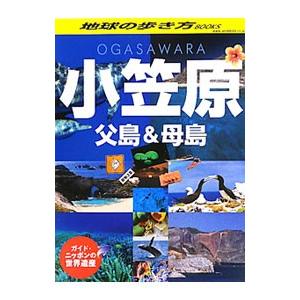 鳥瞰図 バーズアイマップ3 奈良絵図 地図 日本 石原 正 : 宝文社