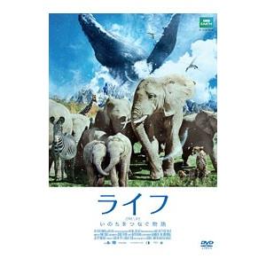 DVD／ライフ−いのちをつなぐ物語− スタンダード・エディション