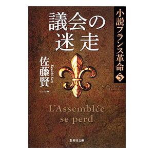 議会の迷走−小説フランス革命−／佐藤賢一