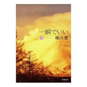 一瞬でいい 下／唯川恵