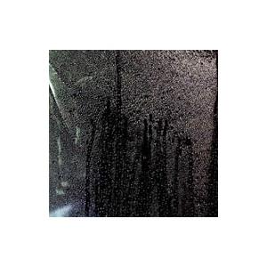 Plastic Tree／くちづけ 初回限定盤B