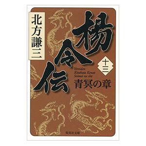 楊令伝(13)−青冥の章−／北方謙三