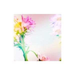 Plastic Tree／シオン 初回限定盤B