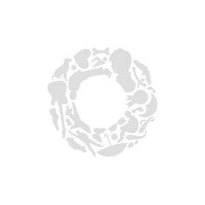 互 鈴村健一 Cd 音楽ソフト の商品一覧 通販 Yahoo ショッピング