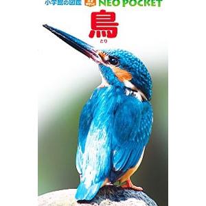 鳥／上田恵介