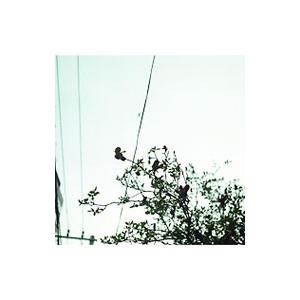 クリープハイプ／待ちくたびれて朝がくる