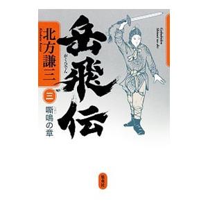 岳飛伝(3)−嘶鳴の章−／北方謙三