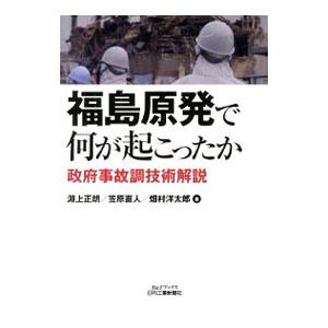 福島原発で何が起こったか／淵上正朗