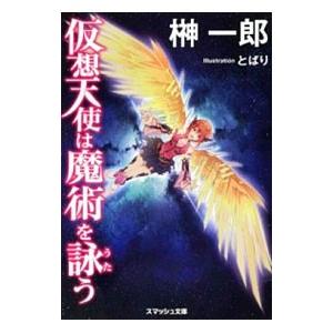 仮想天使は魔術を詠う／榊一郎