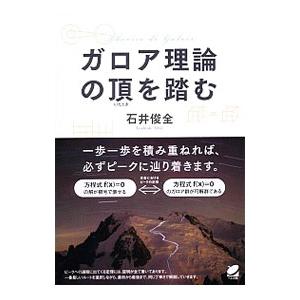 ガロア理論の頂を踏む／石井俊全