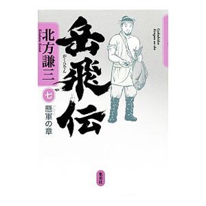 岳飛伝(7)−懸軍の章−／北方謙三
