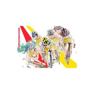 DVD／弱虫ペダル vol．13 初回限定版