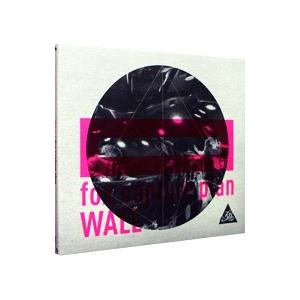 fox capture plan／WALL