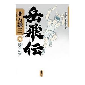 岳飛伝(9)−曉角の章−／北方謙三
