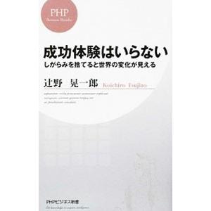 成功体験はいらない／辻野晃一郎