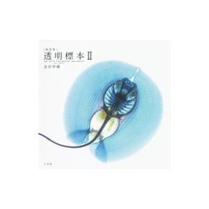新世界透明標本 2／富田伊織