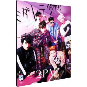 2PM X Hottest 6th Fanmeeting ［2DVD+フォトブック］/ JYP