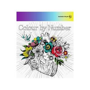 MONKEY MAJIK／Colour by Number