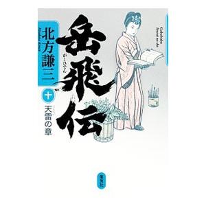 岳飛伝(10)−天雷の章−／北方謙三
