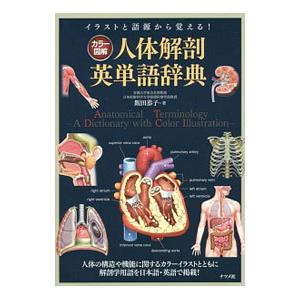 カラー図解人体解剖英単語辞典／飯田恭子