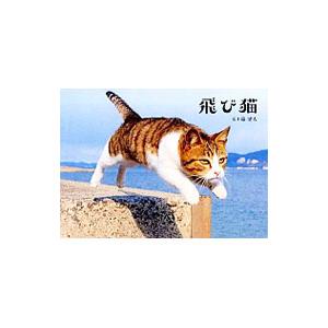 飛び猫／五十嵐健太