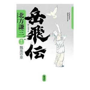 岳飛伝(12)−飄風の章−／北方謙三