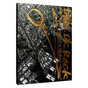 DVD／ONE OK ROCK 2014“Mighty Long Fall at Yokohama ...