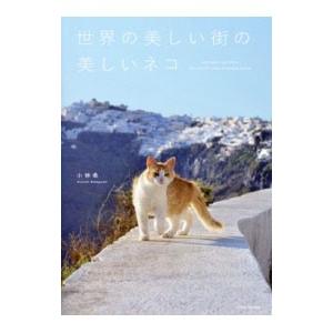 世界の美しい街の美しいネコ／小林希（1982〜）
