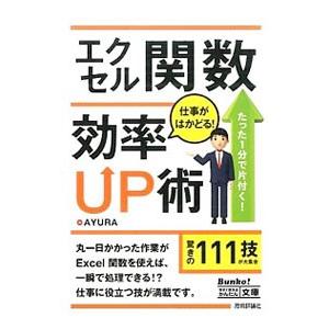 エクセル関数仕事がはかどる効率UP術／AYURA