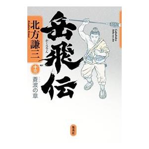 岳飛伝(13)−蒼波の章−／北方謙三