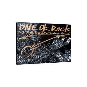 ONE OK ROCK 2014 “Mighty Long Fall at Yokohama Stadium&quot; 通常仕様 [DVD] lok26k6 ONE OK ROCK 2014 “Mighty Long Fall at Yokohama Stadium” (DVD