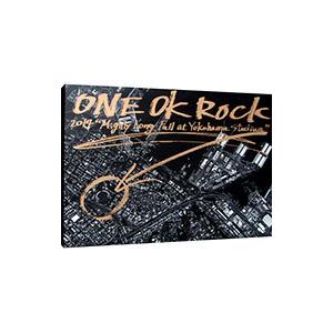 DVD／ＯＮＥ ＯＫ ＲＯＣＫ ２０１４“Ｍｉｇｈｔｙ Ｌｏｎｇ Ｆａｌｌ ａｔ Ｙｏｋｏｈａｍａ Ｓｔａｄｉｕｍ”