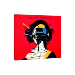 新品 送料無料 星野源 CD+DVD YELLOW DANCER 初回限定盤B PR 新品 送料無料 星野源 CD+DVD YELLOW DANCER 初回限定盤B PR