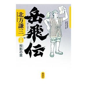 岳飛伝(15)−照影の章−／北方謙三