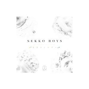 テーマ曲〜星空ランデブー