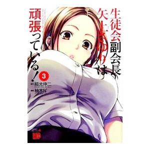 生徒会副会長矢上さゆりは頑張っている！ 3／柚木N’