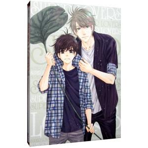 新品 / スーパーラヴァーズ SUPER LOVERS (1-20巻 最新刊) 全巻