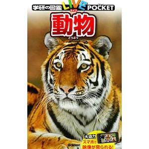 動物／今泉忠明