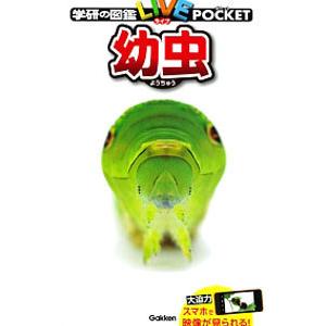 幼虫