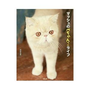 猫 エキゾチックショートヘア 本 雑誌 コミック の商品一覧 通販 Yahoo ショッピング
