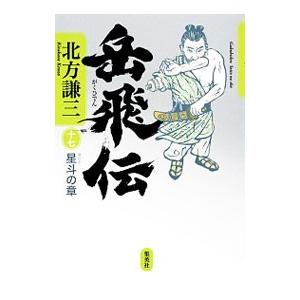 岳飛伝(17)−星斗の章−／北方謙三
