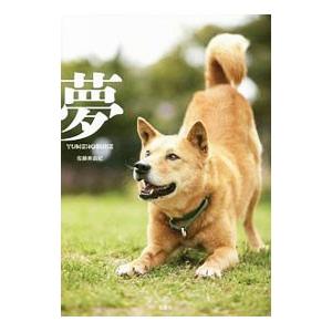 夢／佐藤美由紀