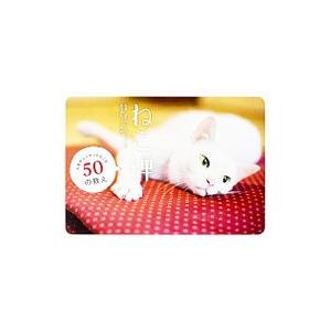 ねこ禅／菅原研洲