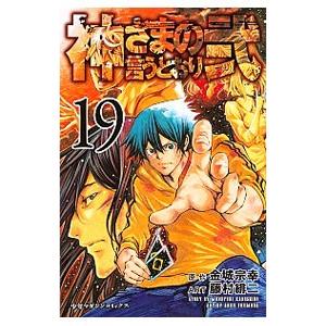 神さまの言うとおり弐 19／藤村緋二