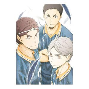 ハイキュー!! 全9枚 第1話〜第25話 レンタル落ち セット 中古