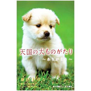 天国の犬ものがたり ありがとう／堀田敦子