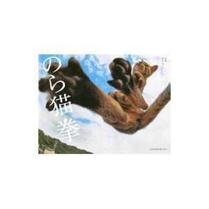 のら猫拳／アクセント