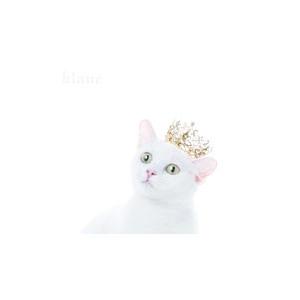 Aimer／BEST SELECTION “blanc” 初回生産限定盤A